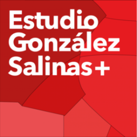 Logo-Estudio-Gonzalez-Salinas-.png